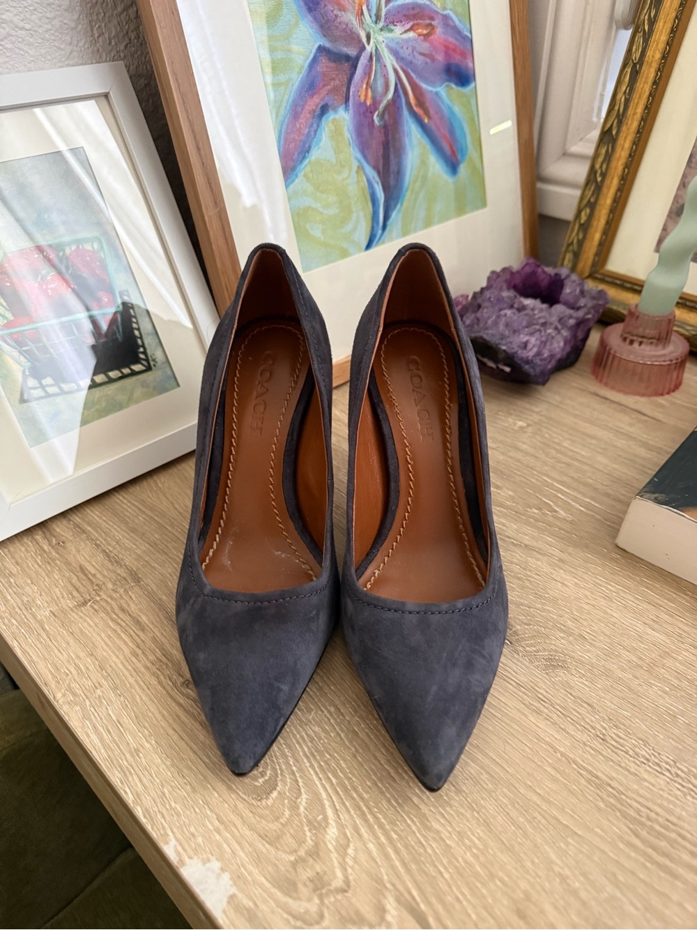 Coach Navy Suede Pointed-Toe Pumps
